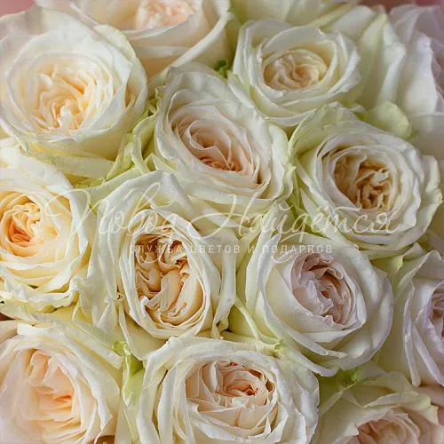 Пионовидные розы Букет Снежное царство
