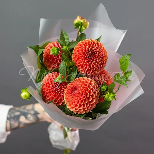 ГЕОРГИНЫ Букет Парижский шик