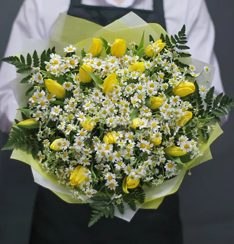 РОМАШКИ Букет Ослепительной