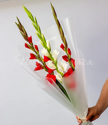 ГЛАДИОЛУСЫ Букет Зарра