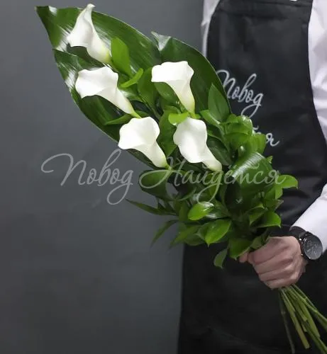 КАЛЛЫ Букет Изысканный