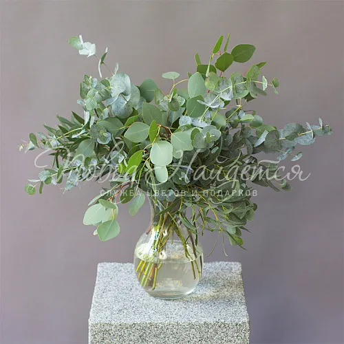 Букеты Букет Эвкалиптовый остров