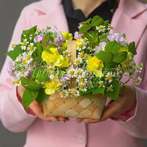 Корзины Корзина Садовое лукошко