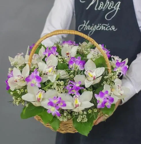 Корзины с орхидеями Корзина Альпика