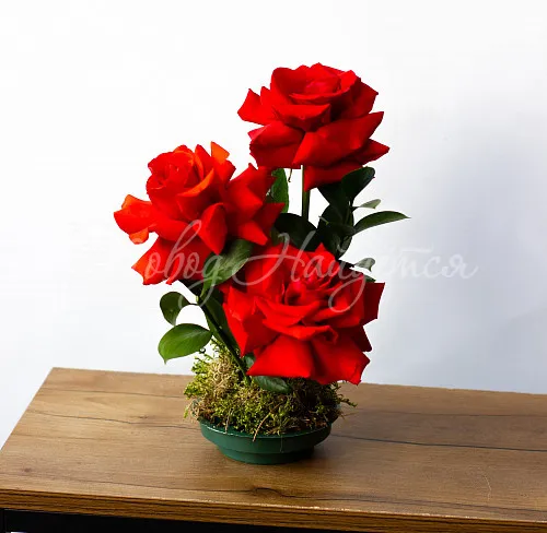 Мини-композиции Цветочная композиция Композиция №149