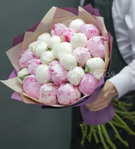 ПИОНЫ Букет Бархатный сезон