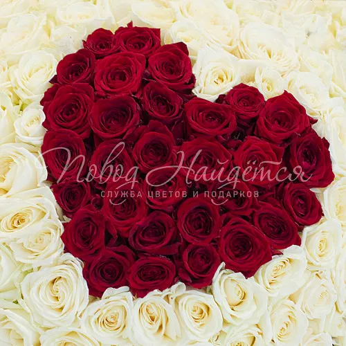 101 роза Букет Красное сердце