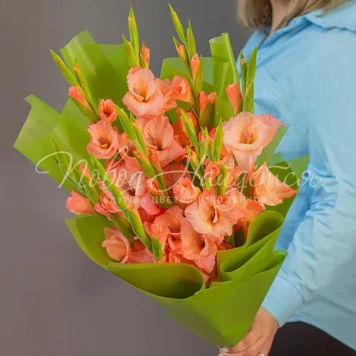 ГЛАДИОЛУСЫ Букет Теплый вечер