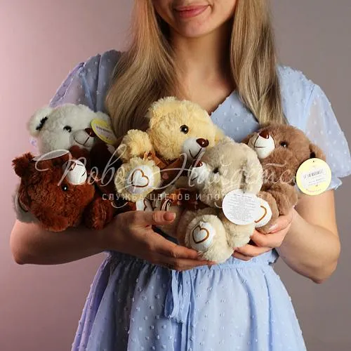 Подарки Мишка Тедди, 20 см