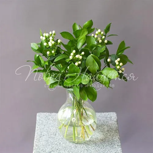 Букеты Букет Уютный мир