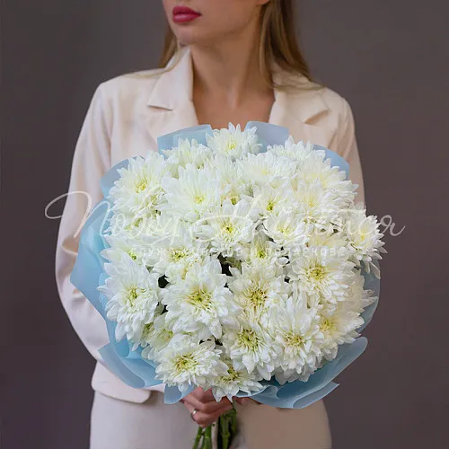 Моно Хризантемы Букет Нежный день