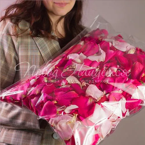 Розы Букет Лепестки роз
