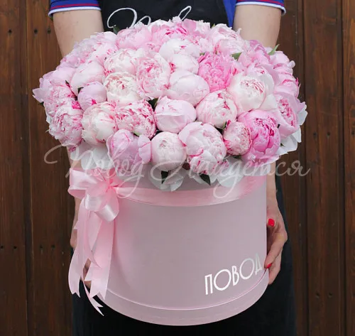 ПИОНЫ Букет 51 пион в коробке