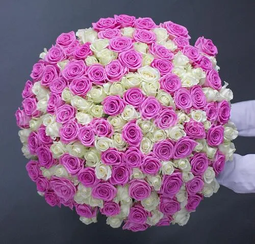 201 роза Букет Непревзойденная