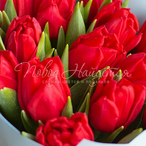 ТЮЛЬПАНЫ Букет Алый закат