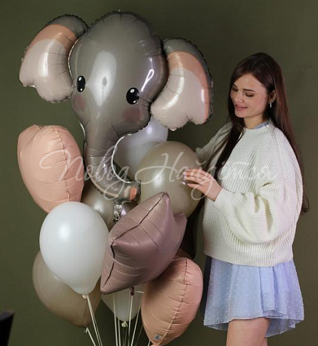 Обычные шары, облака из шаров Облако шаров "Лимпопо"
