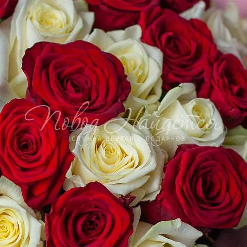 Поздравляю Букет Инь Янь