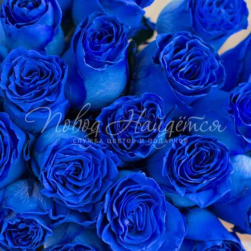 Синие розы Букет Эльбрус