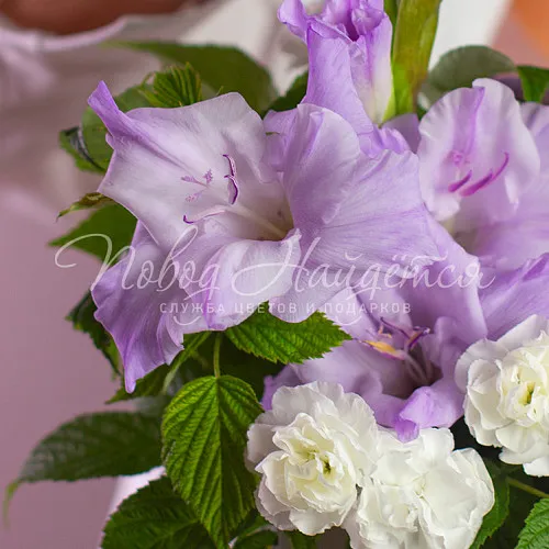 ГЛАДИОЛУСЫ Букет Олимпия