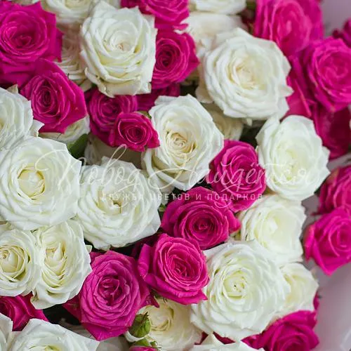 25 роз Букет Нежнее облака