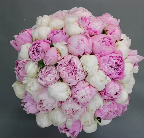 ПИОНЫ Букет Ласковое прикосновение