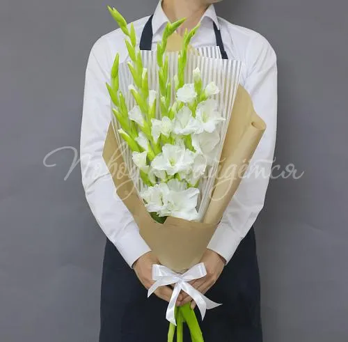 ГЛАДИОЛУСЫ Букет Серьезный шаг