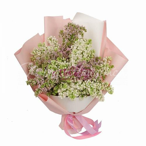Цветы Букет Нежное сияние