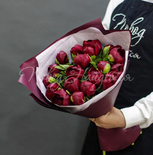 ПИОНЫ Букет Горький шоколад