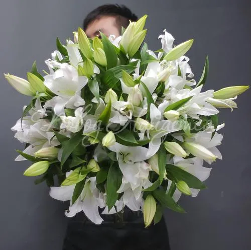 ЛИЛИИ Букет Мексика