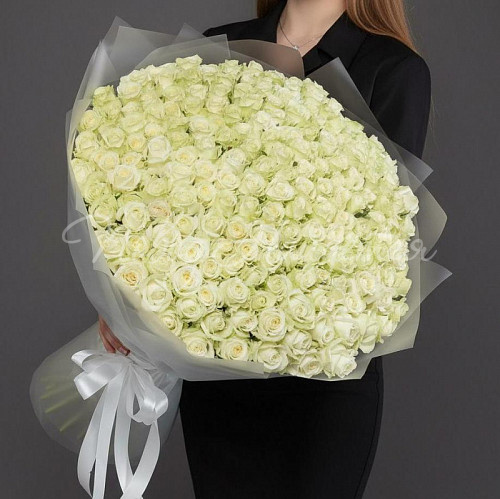 201 роза Букет Варна