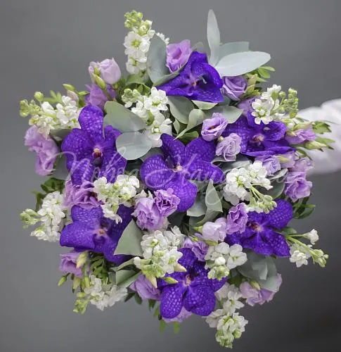 ОРХИДЕИ Букет Яркие бабочки