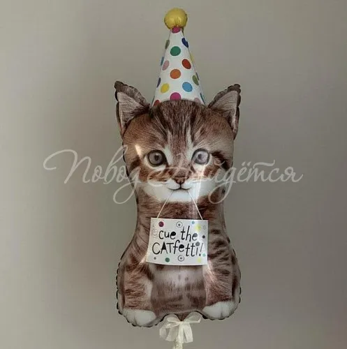 Шары Шары Котенок в колпаке