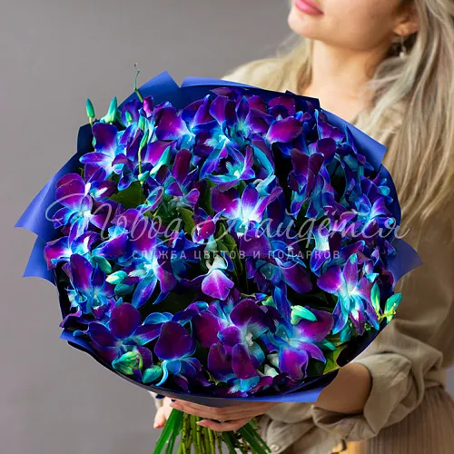 ОРХИДЕИ Букет Полуночные блики