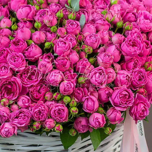 LUX Букет Божена