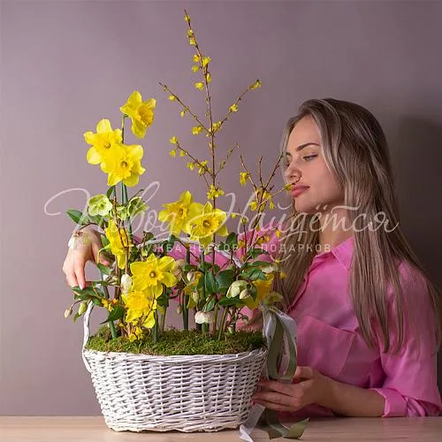 Букеты Букет Весенняя пташка