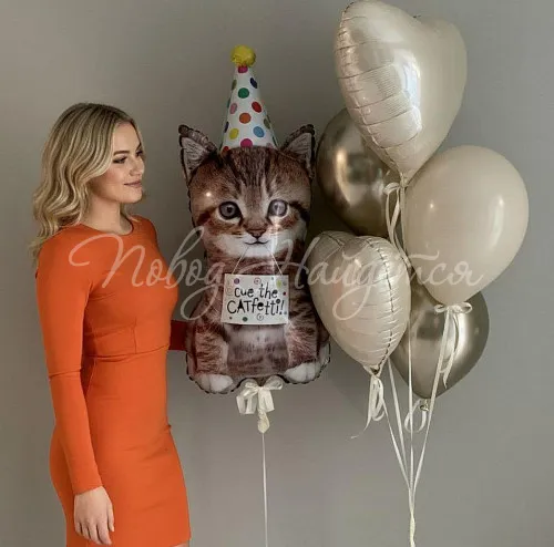 Шары Шары Облако шаров" Котик Мур"