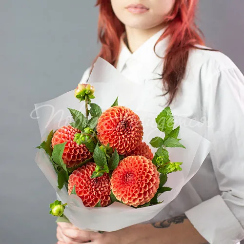 ГЕОРГИНЫ Букет Парижский шик