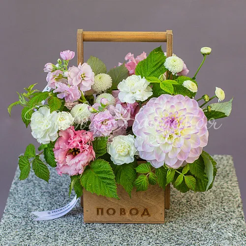 Цветы Букет Созерцая небо