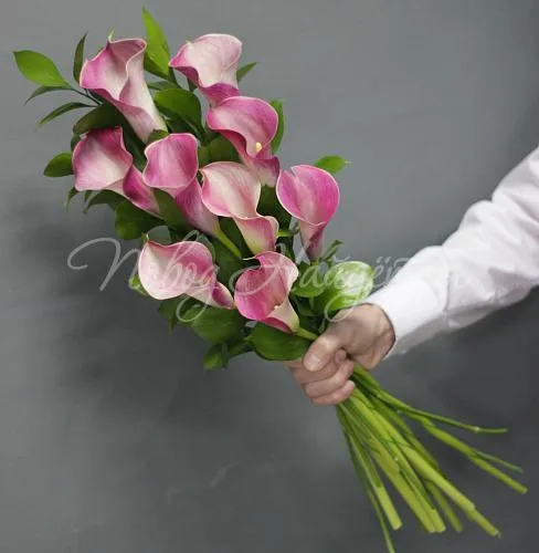 КАЛЛЫ Букет 9 розовых калл