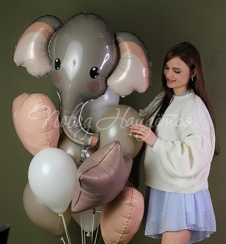 Обычные шары, облака из шаров Облако шаров "Лимпопо"