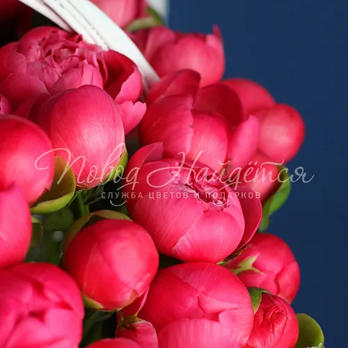 ПИОНЫ Букет Коралловый сад