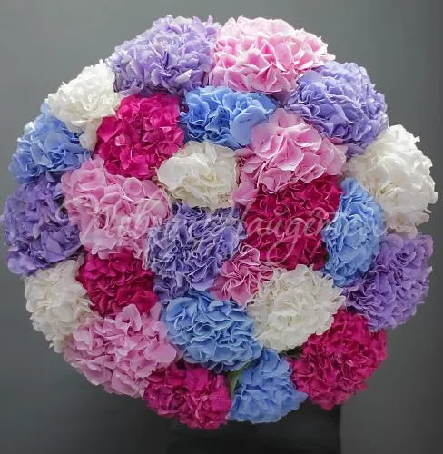 Цветы Букет Королевский сад