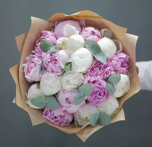 ПИОНЫ Букет Мороженое