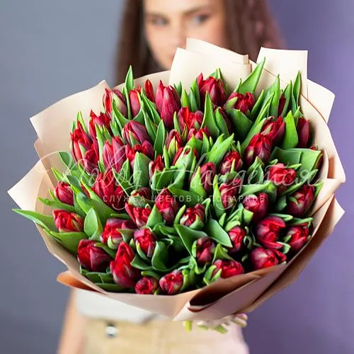 ТЮЛЬПАНЫ Букет Красная заря