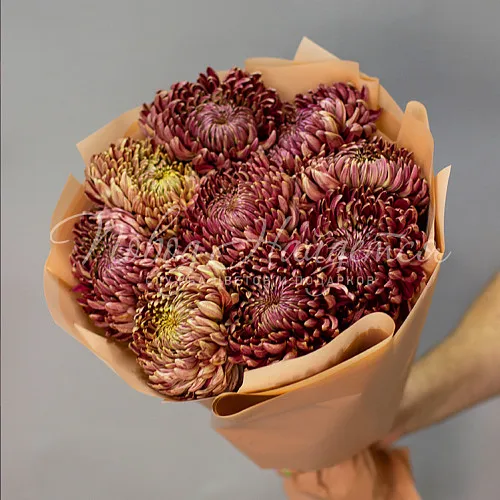 ХРИЗАНТЕМЫ Букет Шоколадница