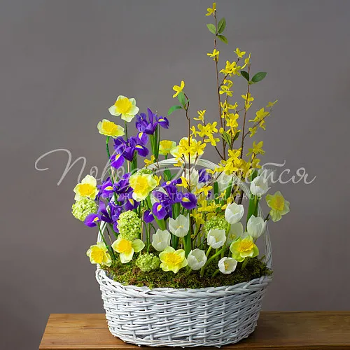 ТЮЛЬПАНЫ Букет Весенний романс