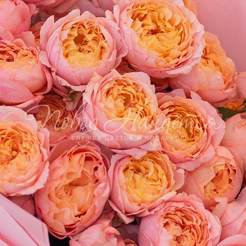 Пионовидные розы Букет Важные слова