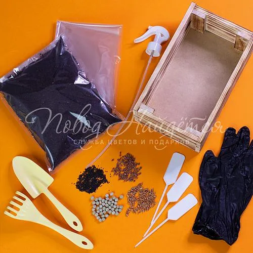 Зеленое Вырасти сам