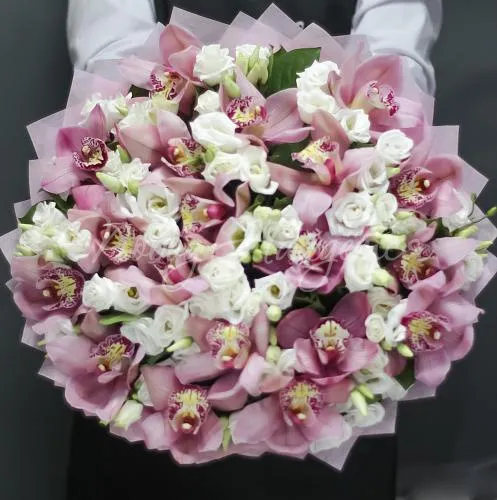 ОРХИДЕИ Букет Мечта Андромеды