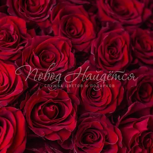 25 роз Букет 25 роз Freedom